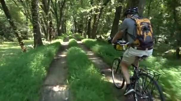 Älterer Mann Radelt Auf Dem Canal Einem Nationalpark Der Nähe — Stockvideo