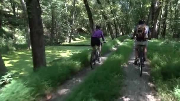 Ώριμη Κόρη Ποδήλατα Δίπλα Στον Ηλικιωμένο Πατέρα Της Στο Δασώδες — Αρχείο Βίντεο
