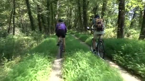 Matura Figlia Biciclette Accanto Padre Anziano Sul Canal Parco Nazionale — Video Stock