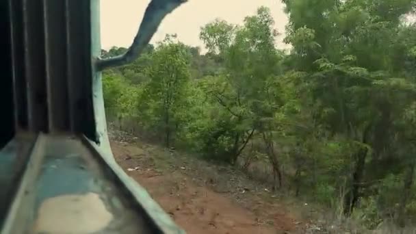 Съемка Реальном Времени Изнутри Движущегося Поезда Захватывающего Зеленые Пейзажи Включая — стоковое видео