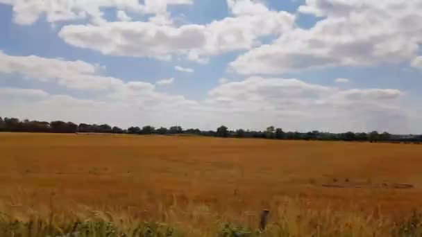 Hochgeschwindigkeitszug Rast Britischer Landschaft Vorbei — Stockvideo