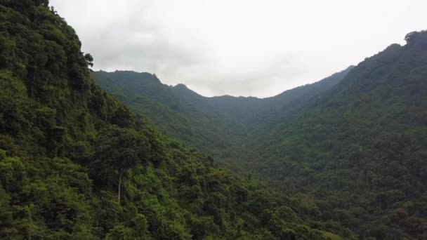 Близкий Воздушный Проход Вдоль Толстой Стены Долины Джунглей Ломбоке Индия — стоковое видео