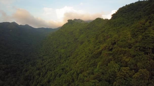 Passagem Aérea Lenta Sobre Lombok Denso Vale Selva Com Encostas — Vídeo de Stock