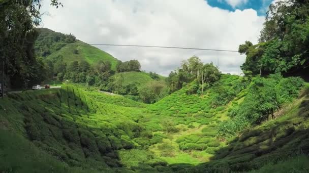 Naturaleza Cameron Highlands — Vídeos de Stock