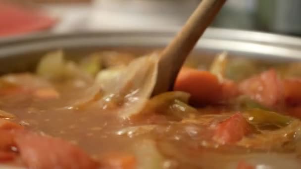Großaufnahme Von Köstlicher Herzhafter Hausgemachter Gemüsesuppe Die Einem Topf Kocht — Stockvideo