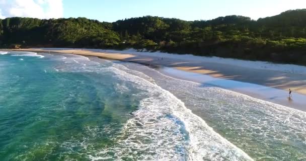 Volando Sobre Playa Surf Byron Bay — Vídeo de stock