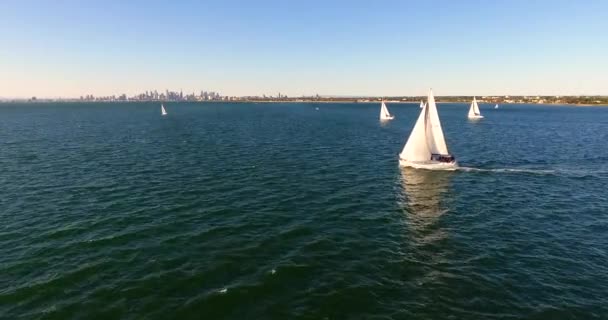 Yacht Vela Con Città Sullo Sfondo — Video Stock