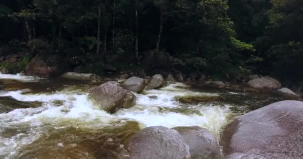 Flying Mossman Gorge — Stock Video