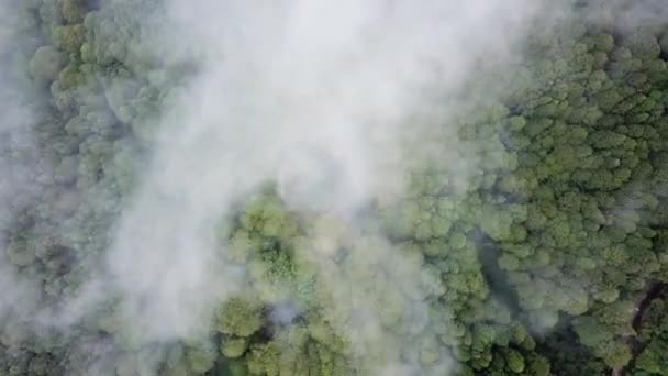 Tembakan Udara Menjatuhkan Awan Atas Danau Biru Alishan Taiwan — Stok Video