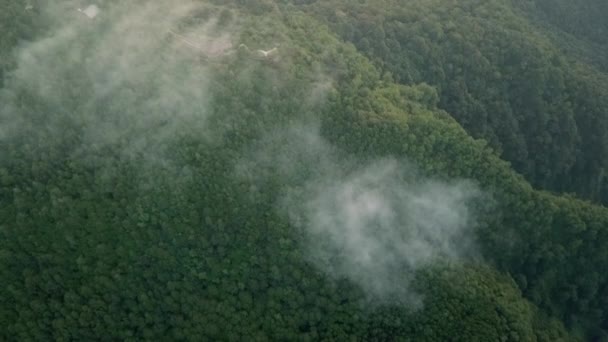 Disparo Aéreo Las Nubes Sobre Los Nublados Árboles Verdes Picos — Vídeo de stock