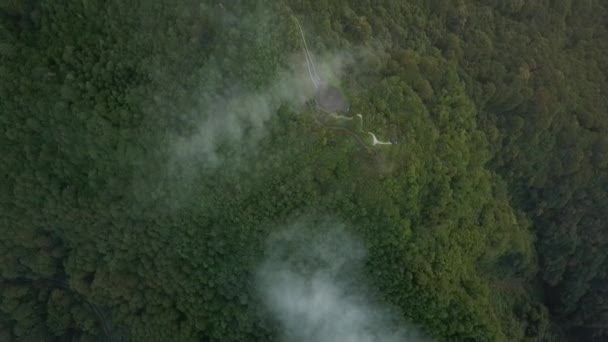 Volare Alto Tra Nuvole Sopra Gli Alberi Verdi Nebbiosi Cime — Video Stock