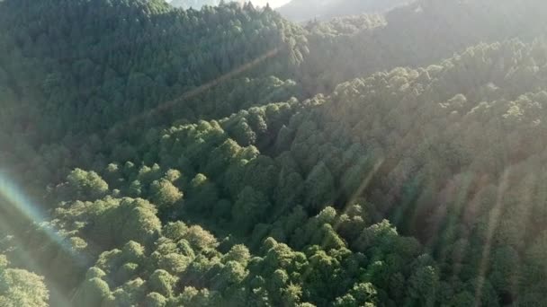 Flyover Dramático Montanha Alishan Taiwan Com Intensas Erupções Lentes Naturais — Vídeo de Stock