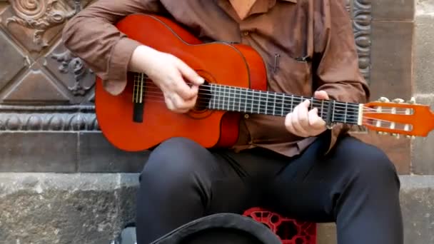 Sokak Müzisyeni Akustik Gitar Çalıyor — Stok video