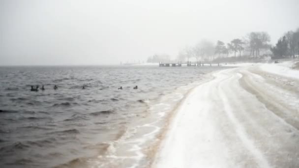 寒冷宽阔的河流上的冬季风景沿着白雪覆盖的海滩流淌 — 图库视频影像