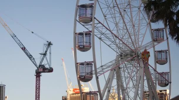 Darling Harbour Ferris Wheel — Stok Video