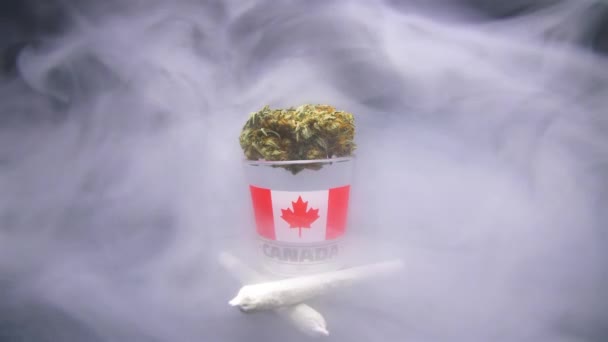 Canada Marijuana Legalization Cannabis Plant Canada Flag — Stock Video