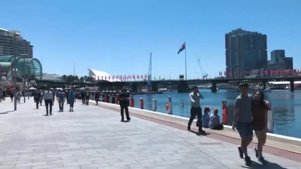 Gente Caminando Día Soleado Sydney Harbour Bridge Circular Quay — Vídeo de stock