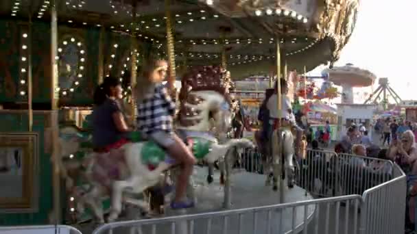 Children Ride Away Camera Vintage Merry Featuring Assorted Carved Animals — Stock Video