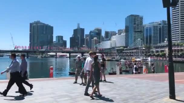 People Walking Sunny Day Sydney Harbour Bridge Circular Quay — Stock Video