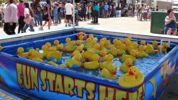 Des Canards Caoutchouc Flottent Dans Bain Tourbillonnant Eau Dans Cadre — Video