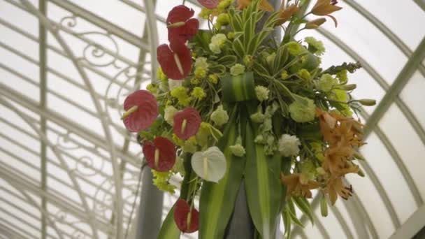 Λουλούδια Και Φυτά Από Την Έκθεση Λουλουδιών Στον Βοτανικό Κήπο — Αρχείο Βίντεο