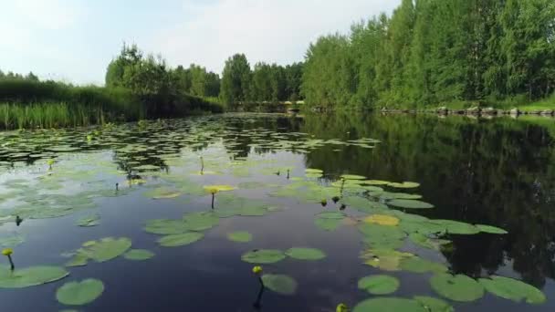 Пролетая Над Желтым Водным Озером Финляндия — стоковое видео