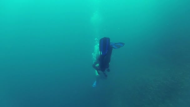 Twee Ontdekkingsreizigers Duiken Gordon Rocks Galapagos Met Zeer Slecht Zicht — Stockvideo