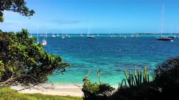 Turkuaz Beyaz Kum Plajı Tobago Cays Deki Yat Limanı Adanın — Stok video