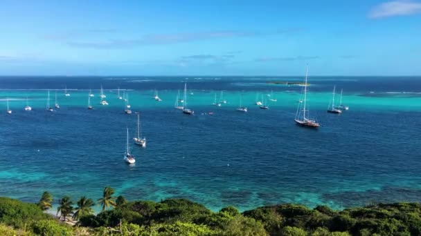 Eau Turquoise Plage Sable Blanc Mouillage Yacht Tobago Cays Vincent — Video