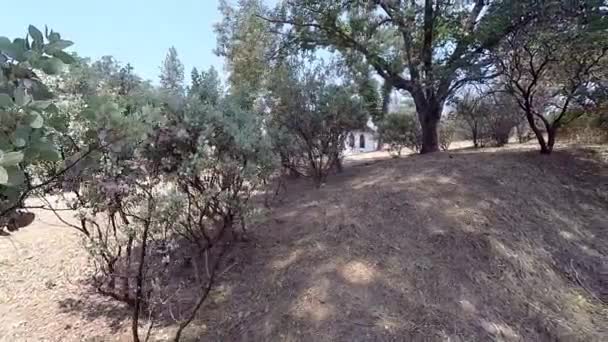 Chapelle Cachée Derrière Les Arbres Les Buissons — Video