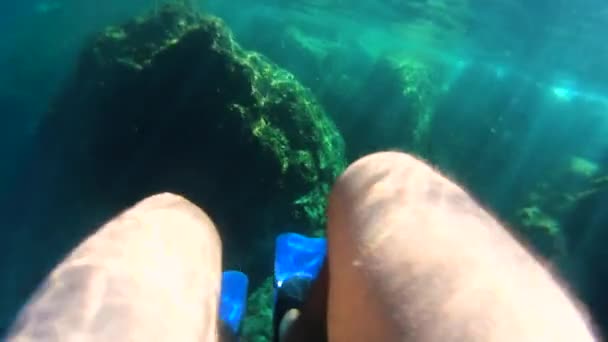 Underwater Shot Snorkel Fins — Stock Video