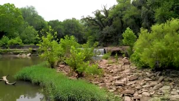 Увеличьте Масштаб Видео Небольшого Водопада Текущего Камней Зеленых Деревьев — стоковое видео