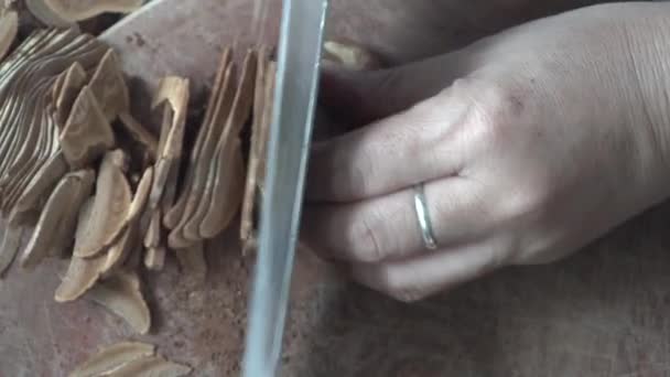 Femme Main Utiliser Couteau Coupé Ganoderma Morceau Vue Dessus — Video