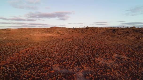 Golden Hour Australian Outback — Stock Video