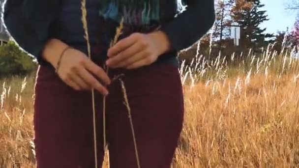 在落日落山时 一个美丽的女孩在青草丛生的高地上拍摄的电影影片 美国加利福尼亚州博尔德 Fps 1080P 千斤顶起重机 Ianfrankfilms 稳定视频内容 — 图库视频影像