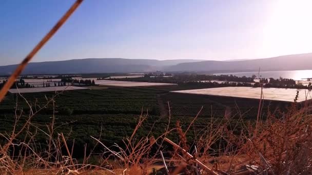 Vista Sobre Los Campos Hora Verano Hora Dorada — Vídeos de Stock