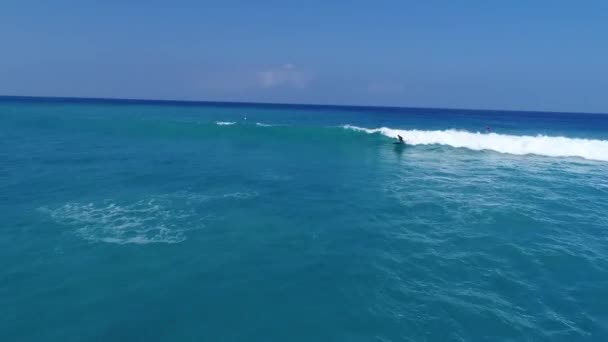 空中映像スタンドアップパドル Kailua Kona ハワイの美しい青い水に大きな波に乗って — ストック動画