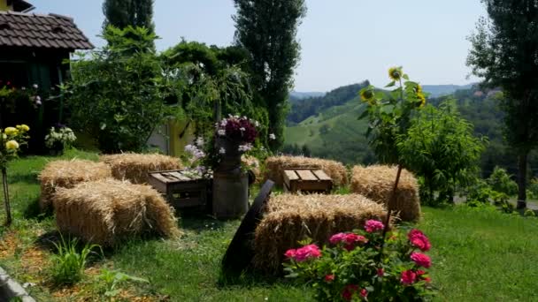 Traditional Scenery Hay Bale Vineyard Styria Austria Slider — Stock Video