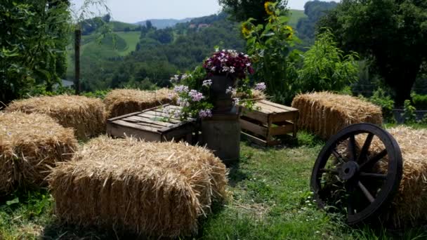 Traditional Scenery Hay Bale Vineyard Styria Austria Slider — Stock Video