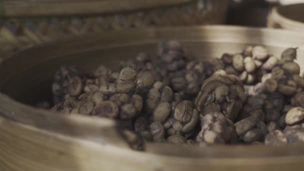 Zpomalení Záběr Pánve Syrové Kopi Luwak Kávy Bali — Stock video