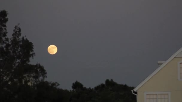 超级月亮在11 16的时间 — 图库视频影像