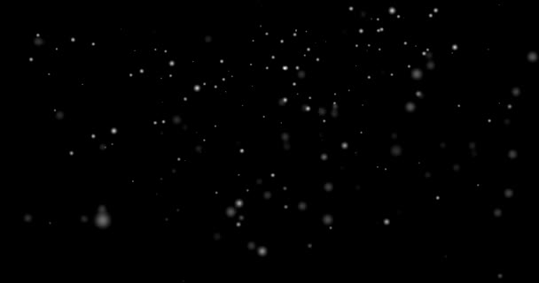 Snowfall Minutes 30Fps Visual Effect Coming Looping — 비디오