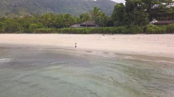 Flygbiljakt Skott Mörkhårig Kauciasan Kvinna Promenader Ner Tropisk Sandstrand Badkläder — Stockvideo