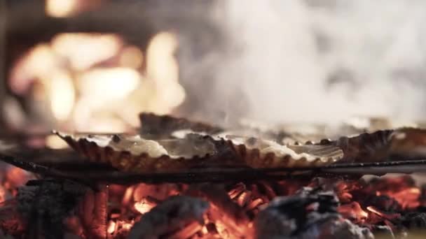 Almejas Cocinando Fuego Barbacoa Cámara Lenta — Vídeos de Stock