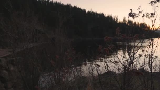Утренняя Прогулка Вокруг Озера Восходе Солнца Захватывающими Видами Мирной Атмосферой — стоковое видео
