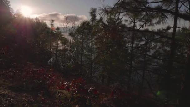 Schöne Morgenwanderung Einen See Bei Sonnenaufgang Mit Atemberaubender Aussicht Und — Stockvideo