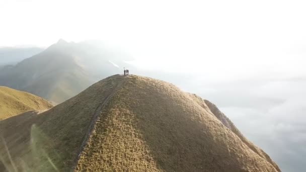 Die Umrundung Des Berühmten Augustdorns Drohne Herbst — Stockvideo