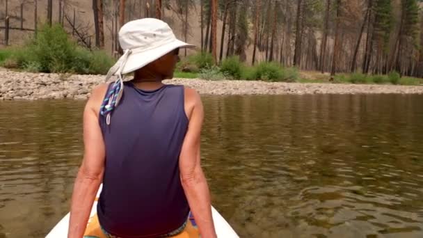 Mulher Senta Paddleboard Enquanto Flutua Rio Montanha Calma — Vídeo de Stock