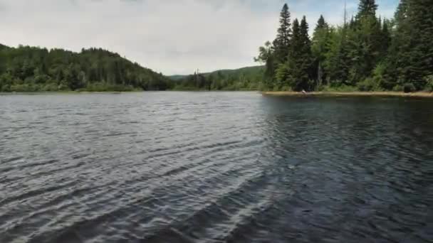 Ondulaciones Movimiento Rápido Superficie Del Lago Con Fondo Forestal — Vídeos de Stock