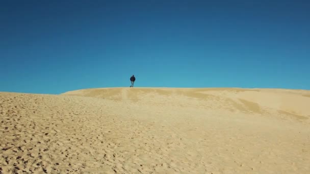 Filmato Port Elizabeth Una Delle Più Grandi Città Del Sud — Video Stock